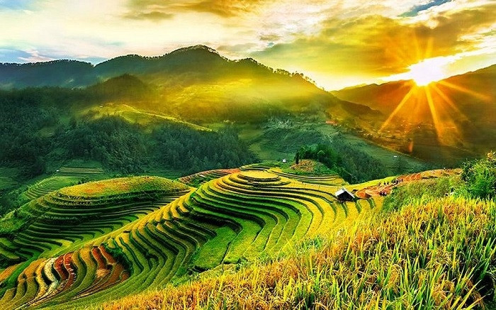 Stunning terraced fields in Vietnam's mountainous regions