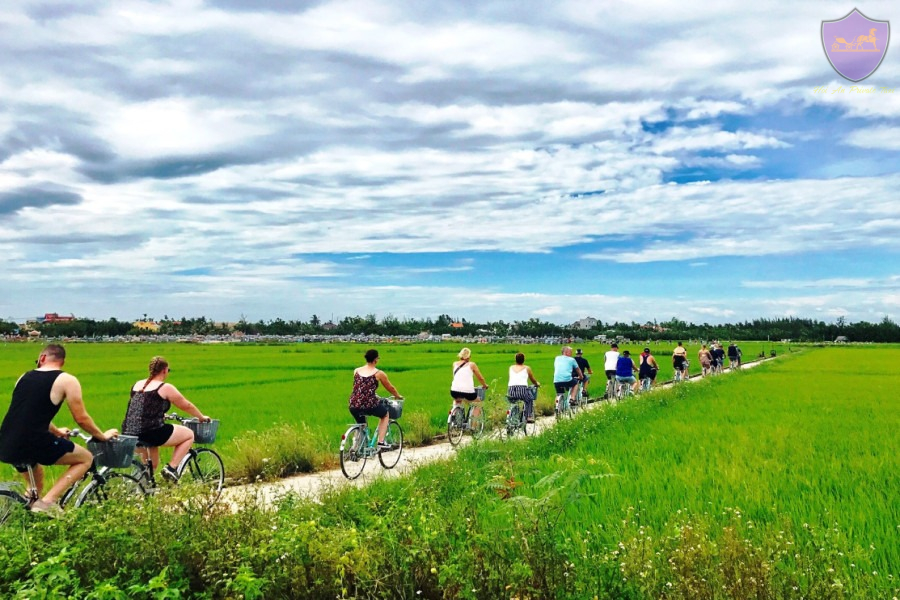 Travelers cycling through lush green rice paddies in the Vietnamese countryside