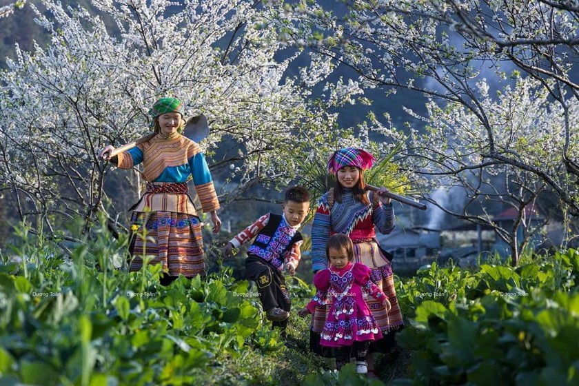 Best time to visit Vietnam showcasing different weather patterns