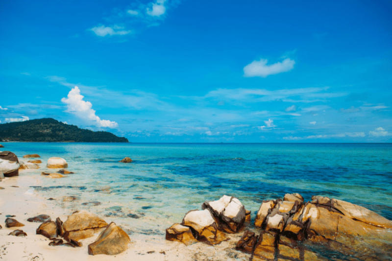 A tranquil beach scene with golden sand, clear blue water, and a few palm trees swaying in the breeze