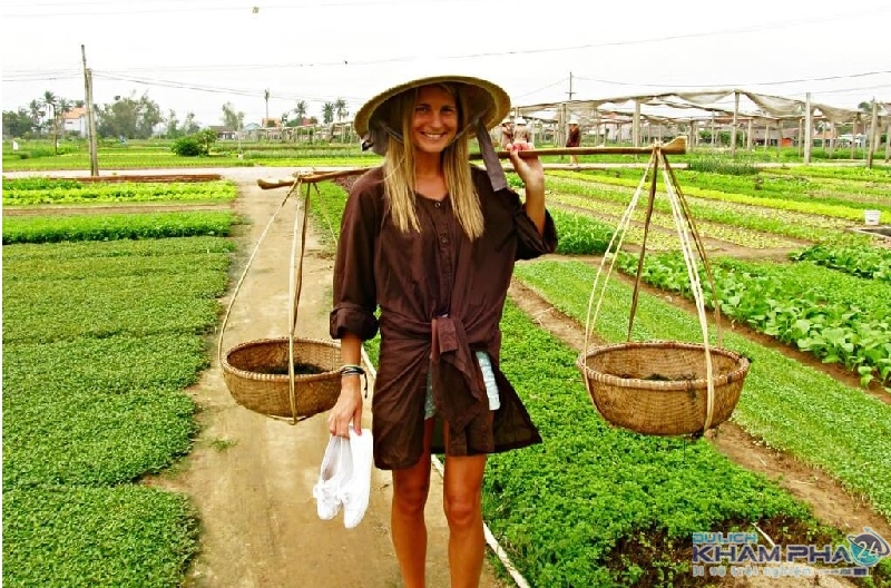 Một tấm biển giải thích nguồn gốc tên gọi làng rau Quế, được đặt tại một điểm du lịch trong làng