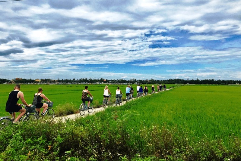 Explore the serene countryside of Hội An, where rice paddies and traditional villages offer a glimpse into local life