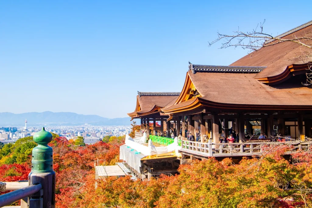 고즈넉한 전통 사원과 화려한 벚꽃이 만발한 교토의 아름다운 봄 풍경. 신혼부부들이 전통 일본 문화를 체험하고 벚꽃 아래에서 낭만적인 시간을 보낼 수 있는 도시임