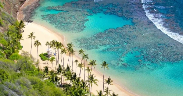 Scenic view of Cham Island, Hoi An, featuring lush greenery, crystal-clear waters, and a tranquil atmosphere perfect for relaxation and exploration.