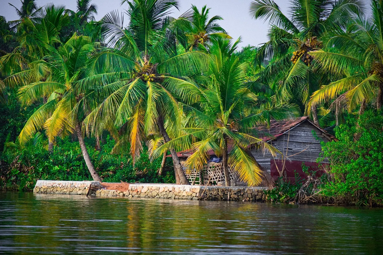 Coconut Boat Tour Hoi An: A Comprehensive Guide to Explore the Local Culture