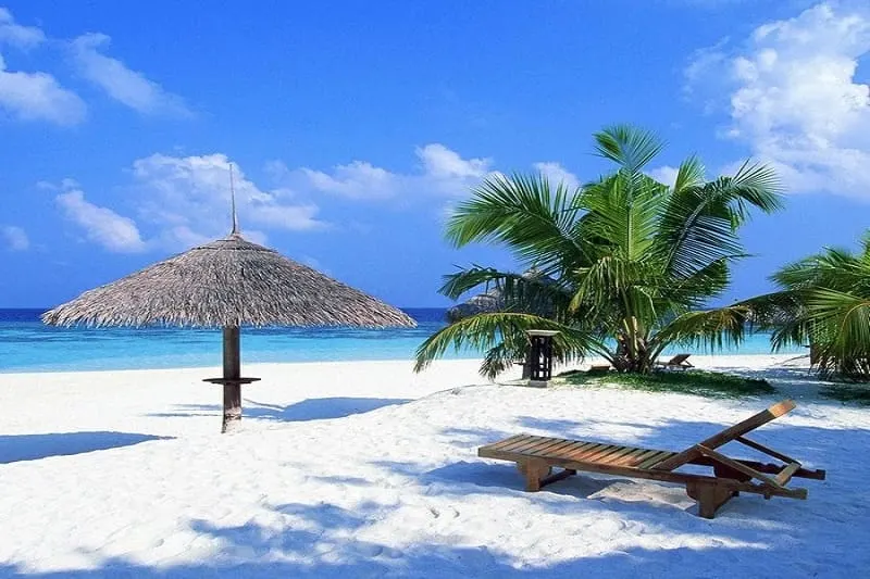 Ảnh chụp một resort cho gia đình tại Hội An với không gian xanh mát, hồ bơi rộng rãi và khu vực vui chơi cho trẻ em, tạo nên điểm đến lý tưởng cho kỳ nghỉ dưỡng gia đình.