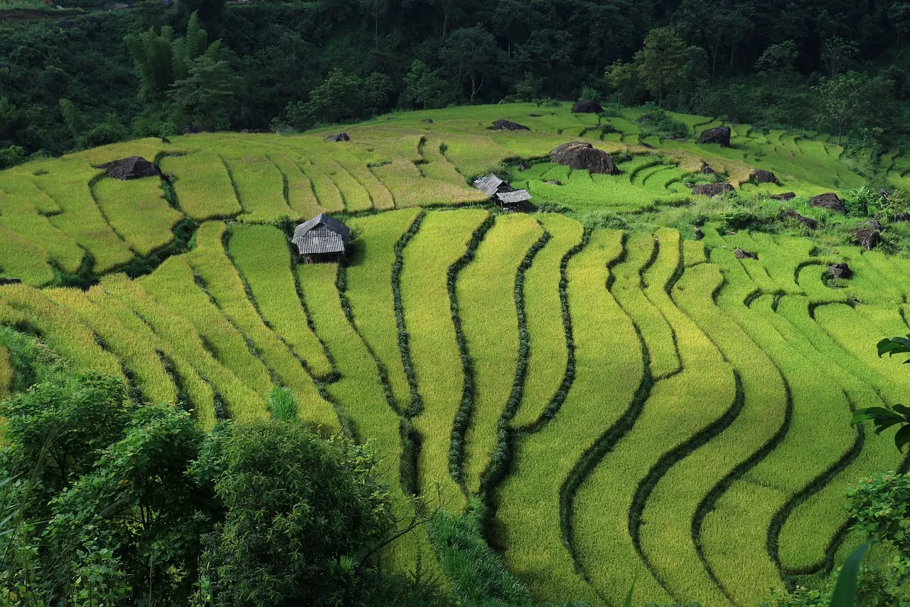 Solo Travel in Vietnam: The Ultimate Guide for Independent Explorers in 2025